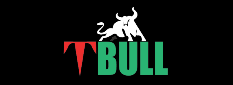TBULL Investments Private Limited - Digital Marketing Client of Cyber Space